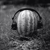 Evan Lipschutz's photo