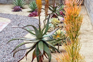 Photo of a landscaping in Orange County.