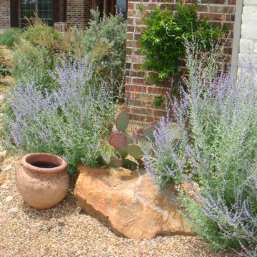 xeriscaping