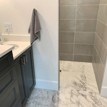 Curbless Tiled Shower in Geneseo, Illinois Bathroom Remodel