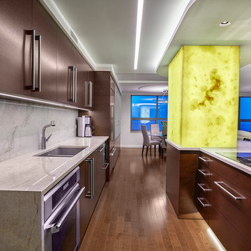 River East Penthouse
