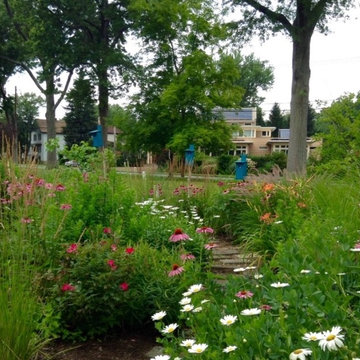 Butterfly garden