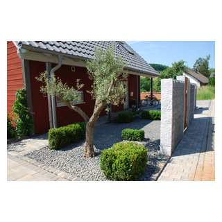 Olivenbaum mit Buchs - Modern - Garten - Frankfurt am Main - von Grten von  Heininger | Houzz