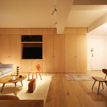 PROSPECT HEIGHT APARTMENT