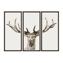 jason_darby4's Ideas