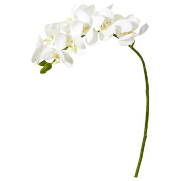 21" Phalaenopsis Orchid Artificial Flower, Set of 6, White