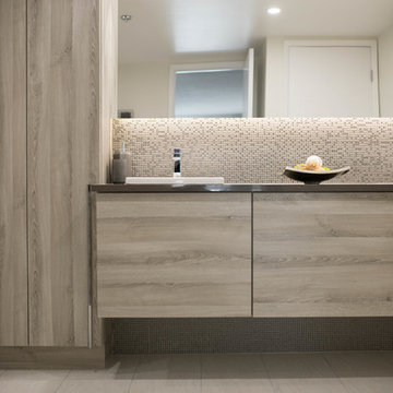 Salle de Bain/Bathroom Rosemont
