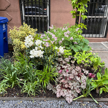 Fort Green Brooklyn Diagonal