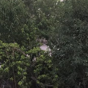 Şükran Balcı's photo