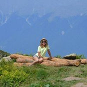 Biewer Yoriki's photo