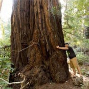 Hung Nguyen's photo