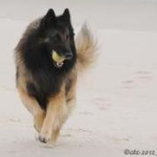 Carole Corbin's photo
