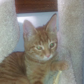 Christine Roncone's photo