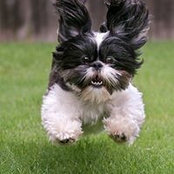 Charlotte Porter's photo