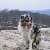 Spencer Meyers's photo