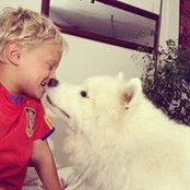 Foto von Scooby Hatchi