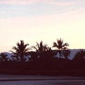 Daniela Almeida's photo