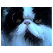 Elizabeth Bleas's photo