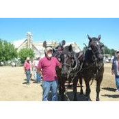 Robert Gordon's photo
