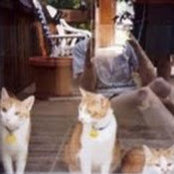 Dave & Sue Brim's photo