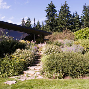 MidCentury Residence | 08