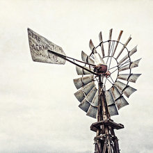 Guest Picks: Americana