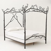 beds