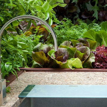 Contemporary Designs