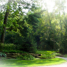 Side Yard Landscape