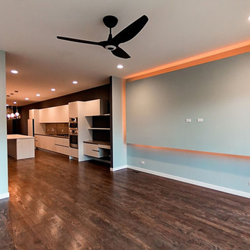 West Town Net Zero Homes