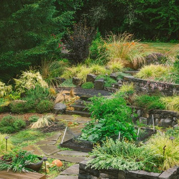 Audubon Certified Backyard Habitat