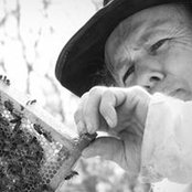 Hans Zerlang's photo
