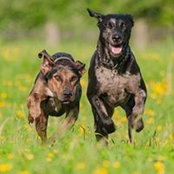 Melissa Griswold's photo