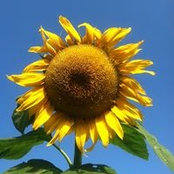 Tonya Cremin's photo