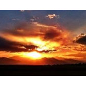 Michael Porter's photo