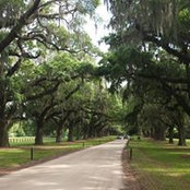 Tammy ONeal's photo