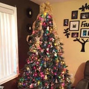 Sharon Eppel Sterner's photo