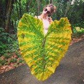 Pollyann Abbott's photo
