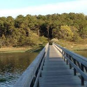 Cathy Carew's photo