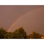 Ninette Lin's photo