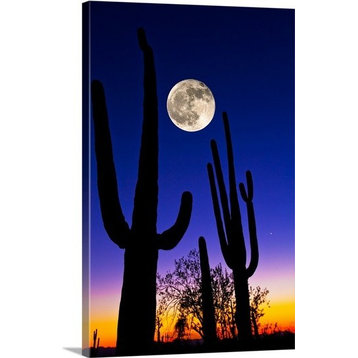 "Moon over Saguaro cactus, Tucson, Pima County, Arizona" Canvas Art, 32"x48"x...