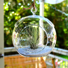 Plant fun