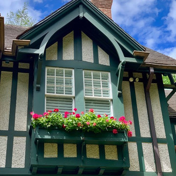 Tudor Love