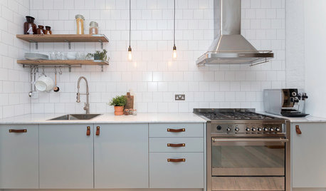 10 Contemporary-style Kitchens on Houzz