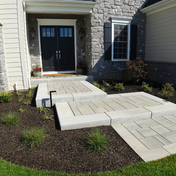 The Backyard Dreams are Made of