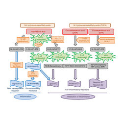 Lipoxygenase Products Analysis - Products