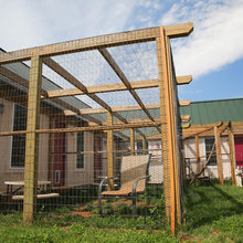 CATIO