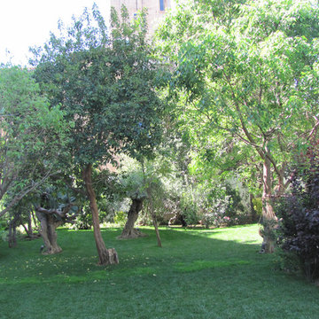Giardino in città