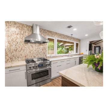 Aging in Place -Transitional Kitchen