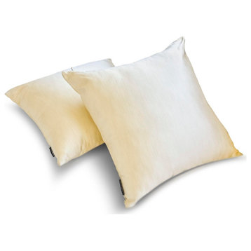 Cream Satin Solid Set of 2, 20"x20" Throw Pillow Cover - Cream Satin Slub